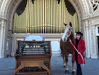 Carol Williams and a Belgin Draft horse on stage